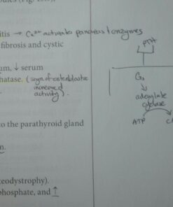 Uniball Jetstream RT 3 Pack, 0.7mm Fine Black, Wirecutter Best Pen, Ballpoint Pens, Ballpoint Ink Pens | Office Supplies, Pens, Ballpoint Pen, Colored Pens, Fine Point, Smooth Writing Pens 35 71COVIFYIbL