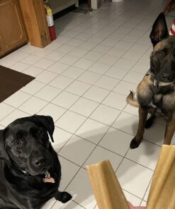 PURINA Busy Made in USA Facilities Small/Medium Dog Bones, Original - 10 ct. Pouch 10 Count (Pack of 1) 35 71COmAVxgL