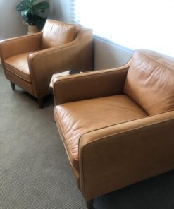 Chamberlain’s Leather Milk Furniture Treatment - All-Natural Leather Cleaner, Leather Conditioner for Couches and Living Room Furniture No 5, 6 Oz 62 71CPTkjK2dL