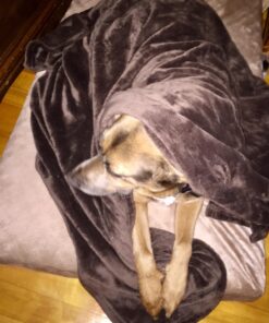 HYSEAS Flannel Fleece Throw Blanket Chocolate - Super Soft Plush Microfiber Solid Blanket for Couch, Bed, Chair, Sofa - Fuzzy Cozy Lightweight - 50x60 Inch Throw(50"x60") 29 71CPyenCNlL