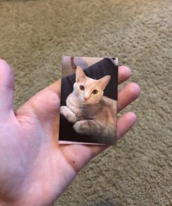 HP Sprocket Portable Color Photo Printer, Print Social Media Photos on 2x3" Sticky-Backed Paper - Black (X7N08A) 75 71CQDIXW aL