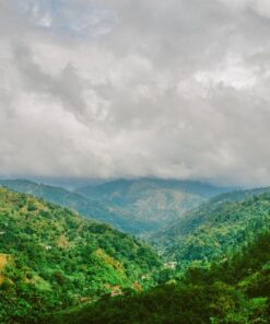 Kodak Ektar 100 Professional ISO 100, 35mm, 36 Exposures, Color Negative Film 33 71CQocGleeL