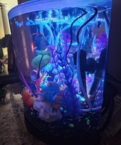 Tetra ColorFusion Starter aquarium Kit 3 Gallons, Half-Moon Shape, With Bubbler And Color-Changing Light Disc 59 71CT9OfrYFL