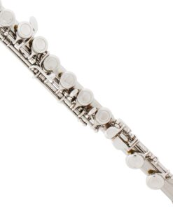 Mendini by Cecilio Premium Grade Silver Closed Hole C Flute with Stand, Book, Deluxe Case and Warranty, MFE-JS+SD+PB 12 71CV9gsrdL