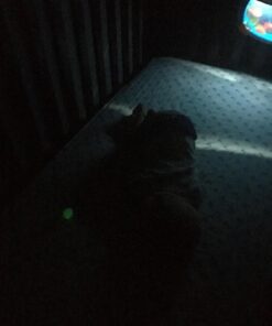 MAM Night Pacifiers , MAM Pacifiers 6+ Months, Best Pacifier for Breastfed Babies, Glow in the Dark Pacifier, Baby Boy Pacifier, 6-16 (Pack of 2) 57 71CXu5UHp4L