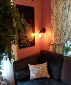 DSYJ for Edison Light Bulbs, Vintage 60 Watt Incandescent Light Bulbs E26 Base Dimmable Decorative Antique Filament Light Bulbs 252 Lumens, Ray Amber Warm 1 Pcs 1 Count (Pack of 1) 33 71CZdvXCRbL