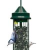 Squirrel Buster Classic Squirrel-proof Bird Feeder w/4 Feeding Ports, 2.4-pound Seed Capacity 19 71Ca2idlaDL