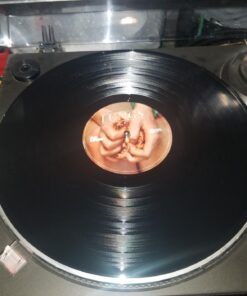 Lungs Lungs 19 71CdQEpyPDL