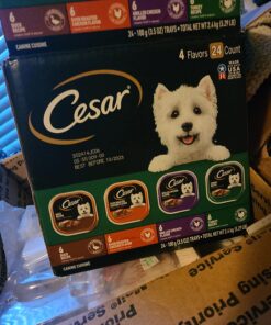CESAR Adult Wet Dog Food Classic Loaf in Sauce Poultry Variety Pack,. Easy Peel Trays with Real Chicken, Turkey or Duck, 3.5 Ounce (Pack of 24) 3.5 Ounce (Pack of 24) multi 27 71CdfXGmAeL