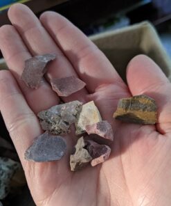 NATIONAL GEOGRAPHIC Rock Tumbler Kit – Hobby Edition Includes Rough Gemstones, and 4 Polishing Grits, Great STEM Science Kit for Geology Enthusiasts, Rock Polisher for Kids and Adults Hobby Kit 37 71CgedW456L