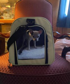 Henkelion Pet Carrier for Small Medium Cats Dogs Puppies up to 15 Lbs, Airline Approved Small Dog Carrier Soft Sided, Collapsible Travel Puppy Carrier - Green 17.0"L x 11.0"W x 11.0"H 39 71CghRYG3YL