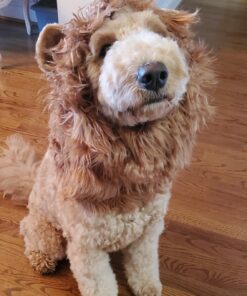 Pet Krewe Large Dog Lion Mane Halloween Costume – Fits Neck Size 13”- 32”- Lion Mane for Small Dogs – Ideal for Halloween, Dog Birthday, Dog Cosplay, Dog Outfits, Pet Clothes 30 71CiCAoH1cL
