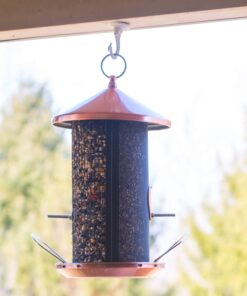 Cottage Garden 12 inch Copper Finish Heavy Duty Mesh Metal 3 Lb. Dual Nut and Seed Bird Feeder Copper Tone 9 71Cjw7bSqyL
