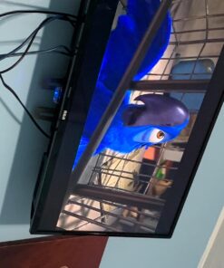 Apple TV Remote 27 71CkvikqiL