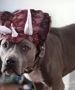 Animal Planet PET20104 Triceratops Dog Costume, Large 15 71Cm8e5mRqL