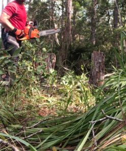 Husqvarna Functional Apron Chainsaw Chaps 38-Inch, Chainsaw Safety Equipment with 5 Layers, Adjustable Belt and Gear Pocket, Black 38 in. Black/Gray 13 71Cm8wd8TML