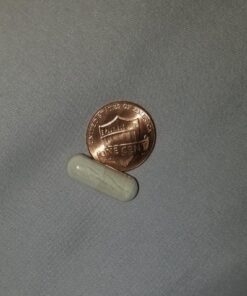 Solgar Gentle Iron (Iron Bisglycinate) 25 mg - 180 Vegetable Capsules - Non-Constipating, Gentle on Your Stomach - Non-GMO, Gluten Free - 180 Servings Old 26 71CmauHLBAL