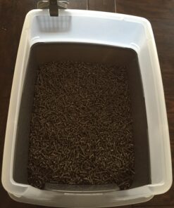 Purina Yesterday's News Non Clumping Paper Cat Litter, Unscented Low Tracking Cat Litter - 30 lb. Bag Original Texture 37 71CnE10q59L