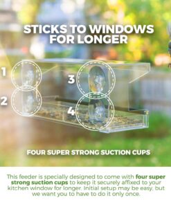 Wild Birds of Joy Window Bird Feeder with 4 Super Strong Suction Cups & Sliding Seed Tray, Large, Clear Acrylic, Easy Clean, Outdoor Bird Feeders, Outside View Up Close of Finch, Cardinal and Blue Jay 30 71CqM6tleRL