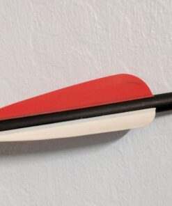 ANTSIR 30 Inch Carbon Arrows Practice Targeting Arrows with Removable Tips for Compound and Recurve Bow(Pack of 12) A-Red White 30 71CtMWhh8L