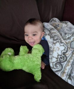 Aurora® Enchanting Dreamy Eyes™ T-rex Stuffed Animal - Captivating Gaze - Whimsical Charm - Green 10 Inches 20 71CukAcNuuL