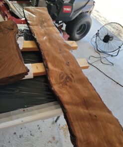 Pro Grade - Paint Brushes - 5 Ea - Paint Brush Set 43 71CvQOZYafL