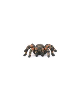 Alternative view of Schleich Wild Life, Animal Figurine, Animal Toys for Boys and Girls 3-8 Years Old, Tarantula