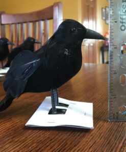 PREXTEX 6pcs Black-Feathered Small Crows Halloween Decorations | Outdoor&Indoor Decor | Fake Bird, Halloween Birds, Scary Ravens, Decorative Crows, Raven | Home, Fence, Porch, Tree, Party Decoration 33 71CytiPX1WL