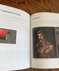 The Dramatic Portrait: The Art of Crafting Light and Shadow 14 71D0Cbg5F4L