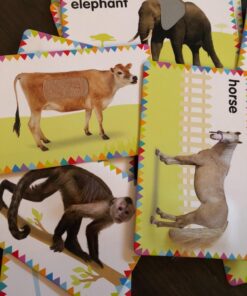 My First Touch and Feel Picture Cards: Animals (My First Board Books) 48 71D3opoksSL