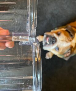 mDesign Plastic Free-Standing Wine Set Rack Storage Organizer for Kitchen Countertops, Pantry Cabinet, Fridge Organization - Holds Water Bottle and Alcohol Bottles - 2 Pack - Clear 2 bottle 34 71D4aMqpuJL