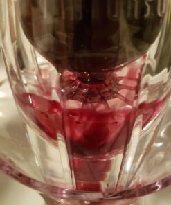 Vintorio Wine Aerator OMNI Set - Premium Decanter for Red Wine Lovers with Gift Box, Velvet Bag, and Mini Stand - Durable, Crystal Clear Acrylic 25 71D4aW65bL