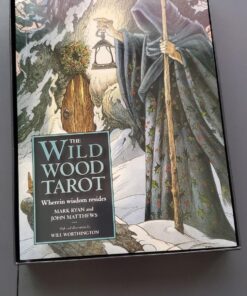 The Wildwood Tarot Deck: Wherein Wisdom Resides (Modern Tarot Library) 72 71D5E1Pw4wL