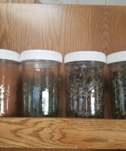 Cornucopia Wide Mouth Plastic Mason Jar Lids (24-Pack Bundle); 2 Dozen Unlined White Ribbed Lids, 86-450 Size 24 Lid Basic Set w/ Lids Only 31 71D5a5kJCAL