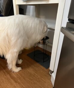 SPOT Elevated Dog Feeder, Stainless Steel, Single Bowl, Hygienic, Easy to Clean, Promotes Proper Posture, Ideal for Medium and Large Breeds, 14-Inch 30 71D5saHpQqL