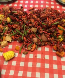 Oojami Pack of 4 Plastic Red and White Checkered Tablecloths - 4 Pack - Picnic Table Covers 54" x 108" Rectangle 24 71D8LNcqNEL