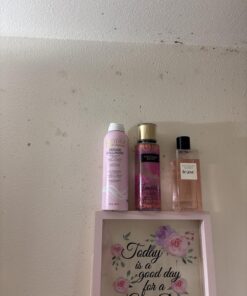 MOLD ARMOR Mold and Mildew Killer + Quick Stain Remover, 32 oz., Trigger Spray Bottle, Eliminates 99.9% of Household Bacteria and Viruses, Ideal Bathroom Mold and Mildew Remover 38 71DCNtJgCRL