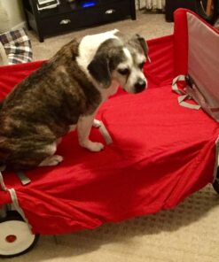 Radio Flyer 3-in-1 EZ Folding Wagon Ride On For Kids, Garden, & Cargo, Red Collapsible Wagon Base 76 71DF6 gK uL