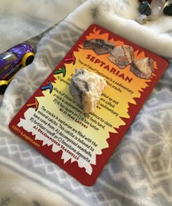 ROCK ON! Geology Game with Rock & Mineral Collection – Collect and Learn with STEM-based Educational Science Kit in Carrying Tote - Amethyst, Rhodonite, Selenite Crystal, Unakite and lots more 29 71DFrPty87L