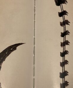 Bloodborne Official Artworks 18 71DGcqUXHL