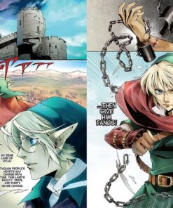 The Legend of Zelda: Hyrule Historia 33 71DNntZGuL