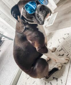 Costa Del Mar unisex-adult C-line Retainer 20 Inch Silver 11 71DO9LksghL