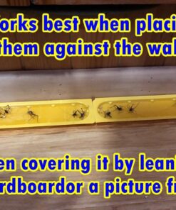 EATON J T 844 4PK Crick/Spid GlueTrap 25 71DOOiUGO6L