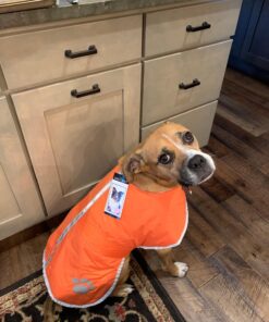 Zack & Zoey Nor'easter Blanket Coat for Dogs, 20" Large, Orange 1 L (Neck: 17", Girth: 28", Back: 20") 36 71DR4eYxhLL 3