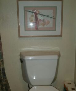 Kohler K-GP30324-CP Cimarron Comfort Height Toilet, 8"x10", Polished Chrome 25 71DS1kcVOuL