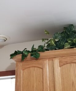 Nearly Natural 15in. Pothos Ledge Plant (Set on Foam) Silk Plant,Green 36 71DSzYorWPL