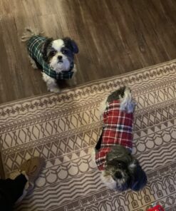 Kuoser Cozy Waterproof Windproof Reversible British Style Plaid Dog Vest Winter Coat Warm Dog Apparel for Cold Weather Dog Jacket for Small Medium Large Dogs with Furry Collar (XS - 3XL),Red M Medium (Pack of 1) Red 43 71DU7uZO5vL