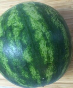 Kizo Stainless Steel Watermelon Slicer/Corer and Serving Tongs with Long Grip Handle and Set of 4 Fruit Forks 15 71DUZ1UqpvL