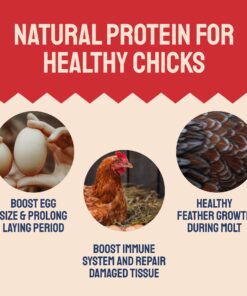 Hatortempt 10lbs Bulk Dried Mealworms - Premium Non-GMO Organic Chicken Feed, Nutritious High Protein Meal Worms- Food and Treats for Laying Hens, Wild Birds, Ducks, Reptiles, Fish, Hedgehogs, Turtles 10 Pound (Pack of 1) 23 71DVQcDRaL