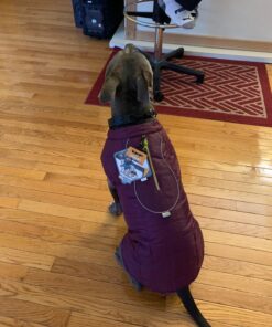 Kurgo Loft Dog Jacket, Reversible Dog Coat, Wear with Harness or Sweater, Water Resistant, Reflective, Winter Coat For Large Dogs (Coastal Blue, XL) Extra Large Coastal Blue/Orange 56 71DXDUawoHL